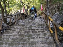 -北京上方山国家森林公园