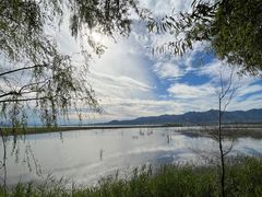 -野鸭湖国家湿地公园