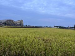 -中国天府农业博览园