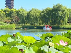 -西海子公园