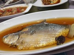 火焖鲥鱼-金时代顺风大酒店(金山店)