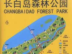 -长白岛森林公园