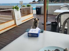 -魚當家