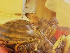 -港畔赶海蒸汽海鲜烧烤自助(仙螺岛店)