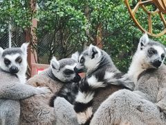 -乐和乐都主题乐园