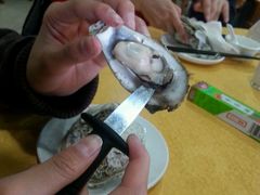 -蚝专家(北滘店)