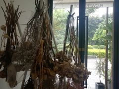-Native Flower 莱提花艺(南海新天地广场店)
