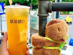 -萃茶师(琅西店)