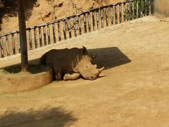 -泉州海丝野生动物世界