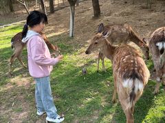 -观唐（国际）度假村温泉