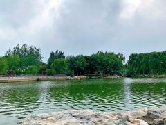 -大兴滨河森林公园