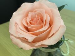 -Country Lane咖啡·意粉(荔园新天地店)