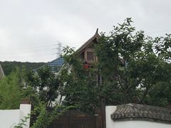 -慢丽江·云南野生菌土鸡锅(西山店)