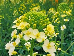 -中国天府农业博览园