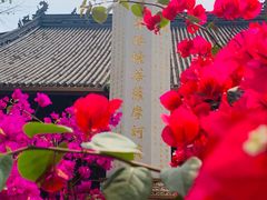 -古大圣慈寺