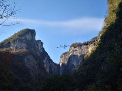 -鹿院坪生态旅游景区