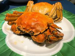 -老吉堂上海本帮菜(工体店)