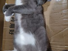-龙湖重庆时代天街