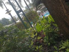 -碧水湾温泉