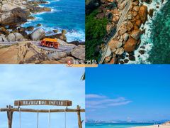 -亚龙湾热带天堂森林公园