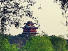 -永定河休闲森林公园