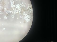 -华夏良子·足道SPA养生(上海崮山路明悦店)