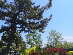 -棒棰岛宾馆景区