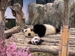 -青藏高原野生动物园