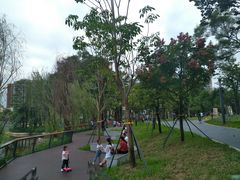 -四海公园(南山区)