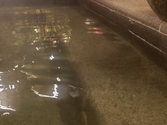 -大连金石滩绿发温泉假日酒店