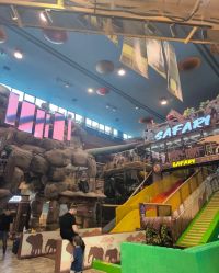 -卡通尼·Safari非洲探索乐园·生日会(金桥国际商业广场店)