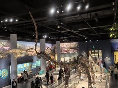 -国家自然博物馆