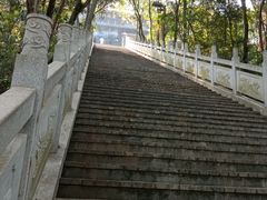 -成都老君山