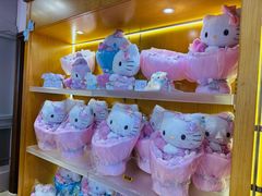 -安吉Hello Kitty乐园