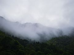 -千岛湖石林