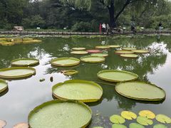 -国家植物园南园