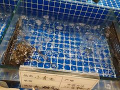 -海鲜城大家餐厅