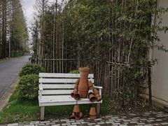 -前小桔亲子创意农场·草莓采摘·露营烧烤