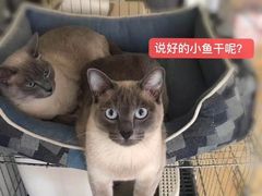 -萌兽医馆·绝育·24小时内科·宠物医院(德胜店)
