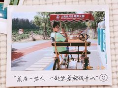 -上海长兴岛郊野公园