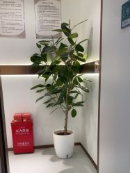 -禾丽康美医疗美容医院
