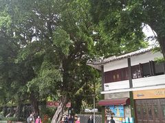 -荔湾湖公园