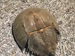 -欢乐海岸海洋奇梦馆