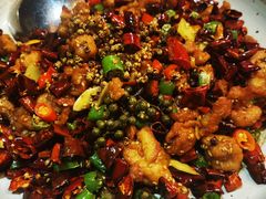 鲜椒辣子鸡-青年公社烤鸭(青年路店)