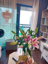 -哈颜科技轻美·