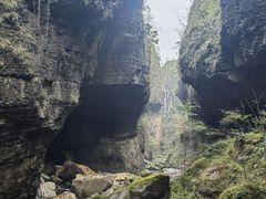 -鹿院坪生态旅游景区