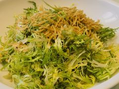 凉拌苦菊-东华天喜楼(涧西店)