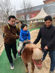 点击看大图 -萌宠亲子动物乐园(槐房万达店)