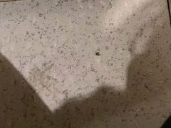 -海底捞火锅(振华商厦店)