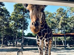 -清迈夜间动物园